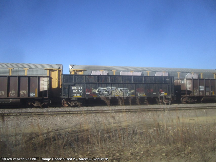 NSSX 100134